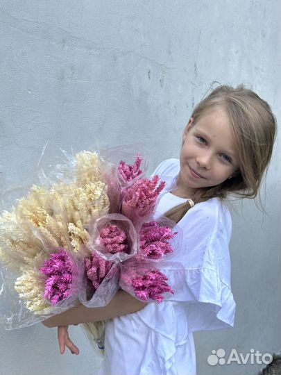 Пшеница сухоцвет