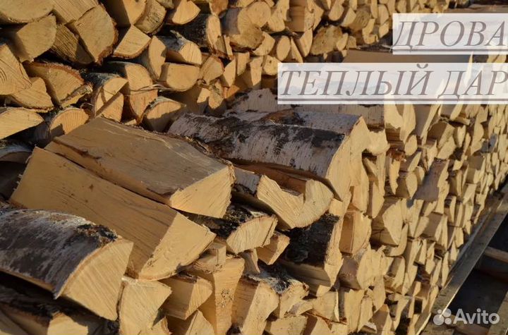 Дрова сухие