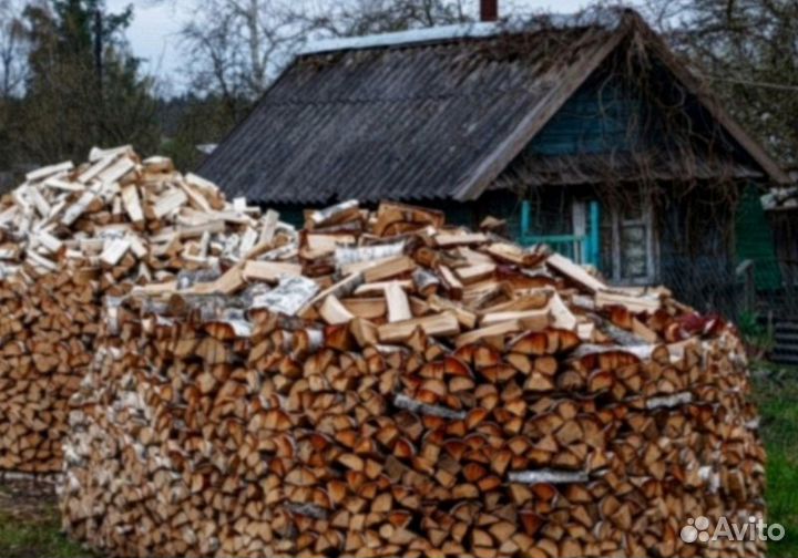 Дрова береза