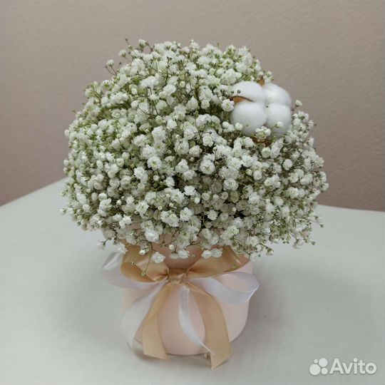 Белая гипсофила с хлопком