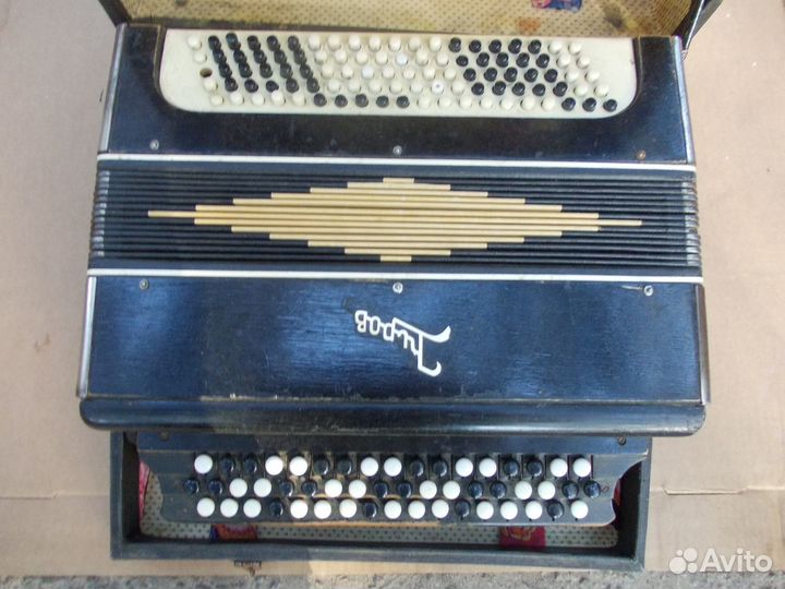 Баян кировский