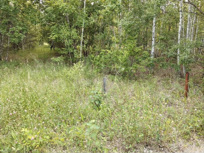 Участок 10 сот. (СНТ, ДНП)