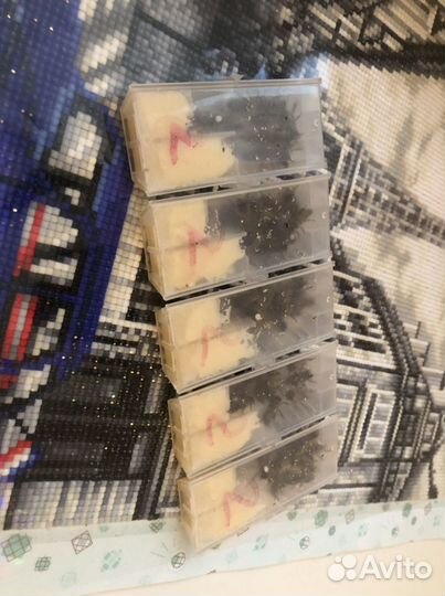 Матка Карника 2024