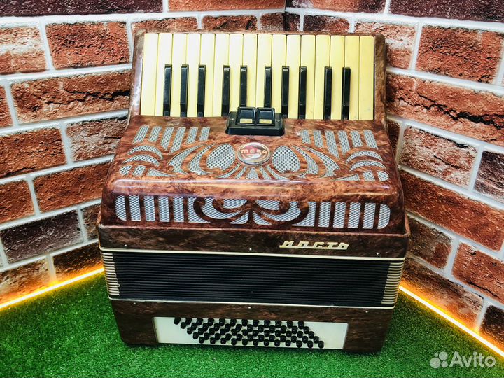 Z.Аккордеон юность-3