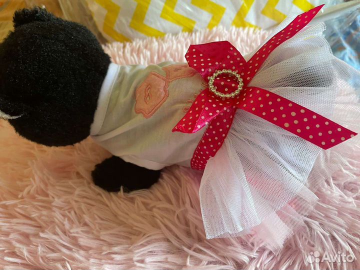 Одежда для маленьких пород собак