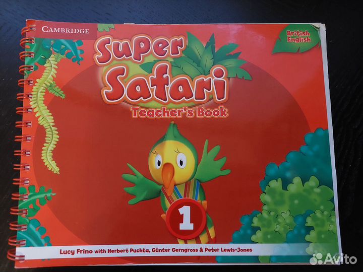 Super Minds 0,1,2,3,4 - Teacher's Book