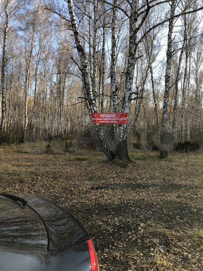 Участок 10,6 сот. (ИЖС)