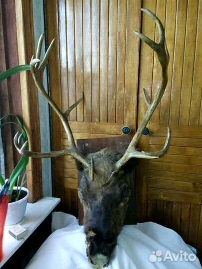 Предметы интерьера