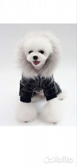 Комбенизон для мелких пород собак Arnydog XL