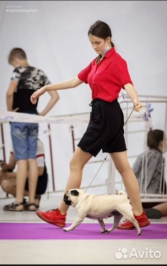 Услуги хендлера