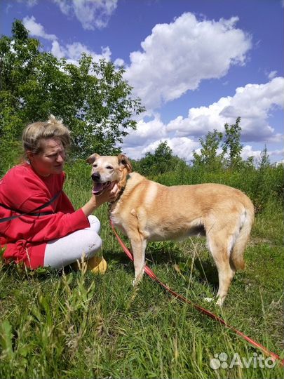 Старушка Чара из приюта на доживание