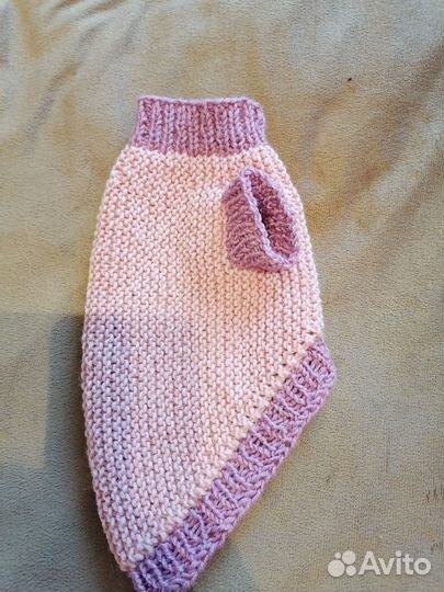 Одежда для животных