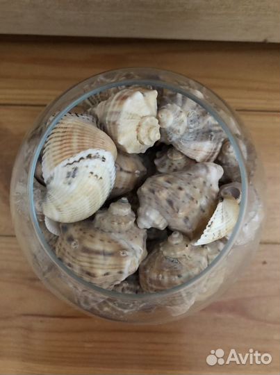 Ваза стеклянная с ракушками