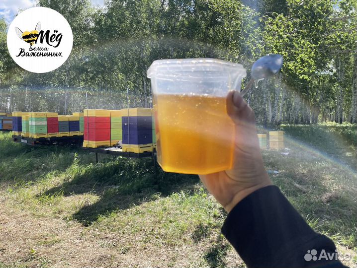 Мед свежий натуральный. Собственное производство