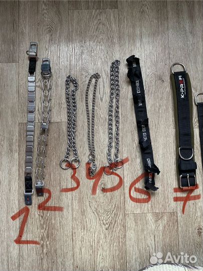 Амуниция для собак