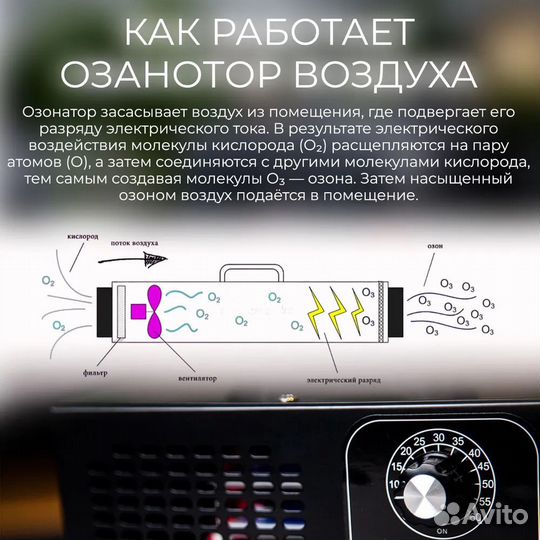 Озонатор 60 грамм в Аренду