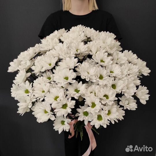 Куст. хризантема с беспл. доставкой