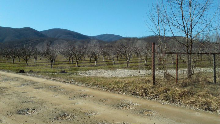 Участок 4 сот. (СНТ, ДНП)