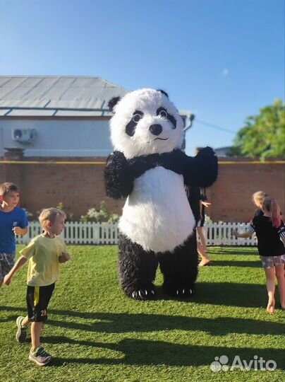 Ростовая кукла Мишка / Панда / живая открытка