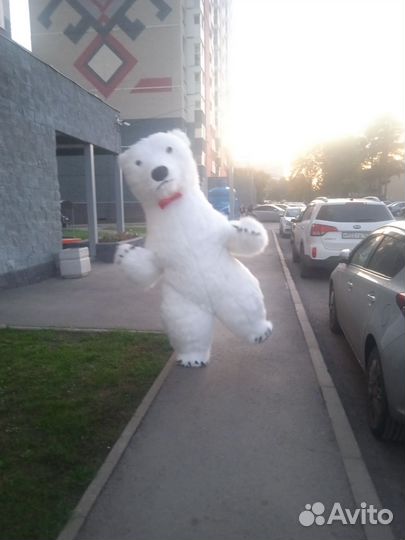 Белый Мишка