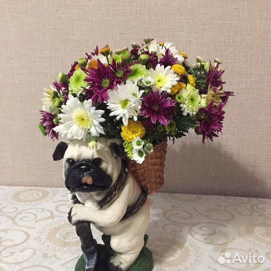 Деревья, бонсай, цветы