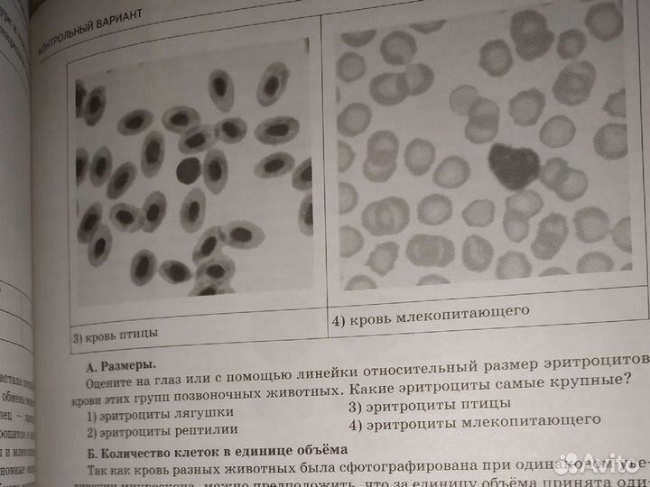 Огэ Биология 2020, тренировочные варианты