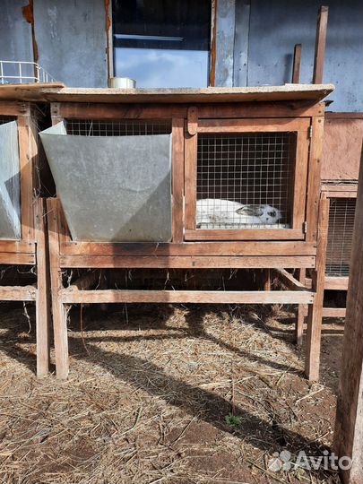 Клетки для кроликов