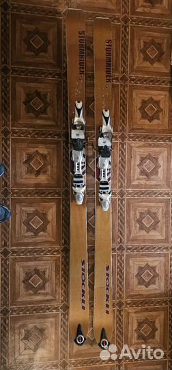 Горные лыжи