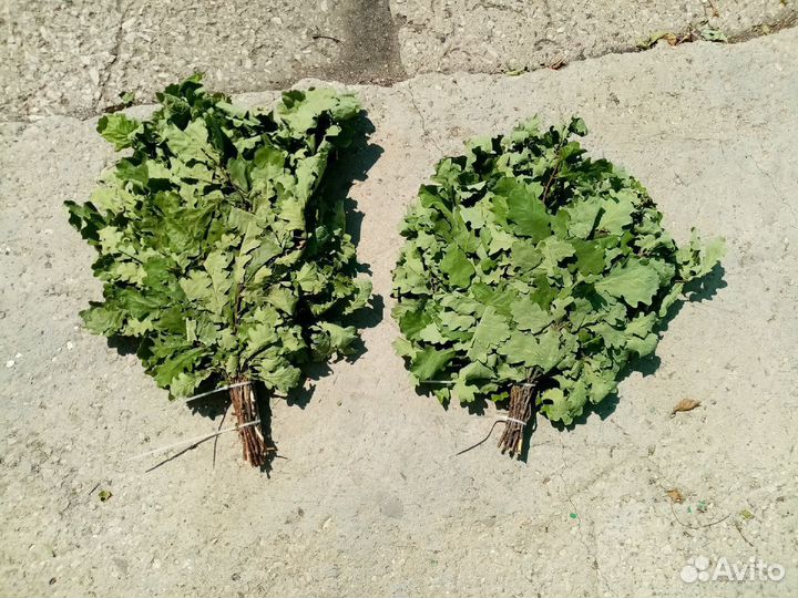 Веники для бани, дубовые 2023