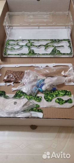 Муравьиная ферма без муравьев