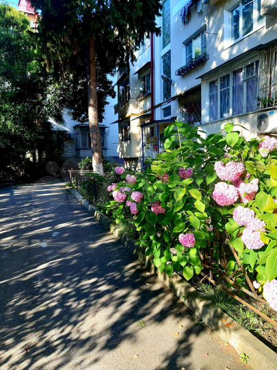 2-к. квартира, 44,5 м², 2/5 эт.