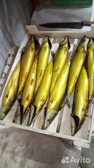 Скумбрия х/к