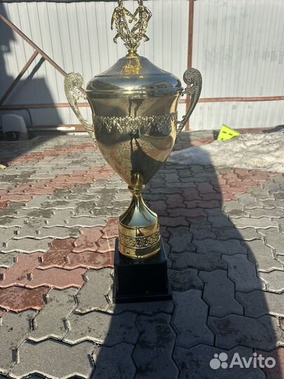 Футбольный кубок