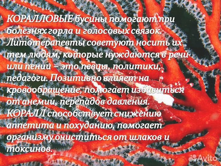 Набор Ручной Работы из Натурально Коралла