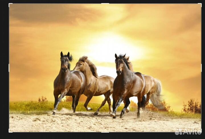 Печать фото на холсте