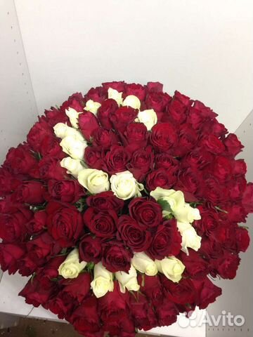 Букет из 101 розы красно-белый 50 см