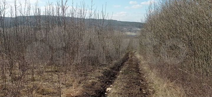 Участок 1,35 га (СНТ, ДНП)