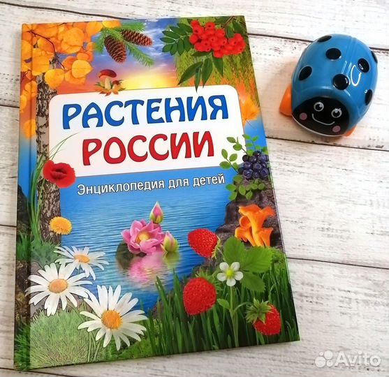 Новая детская энциклопедия Растения России