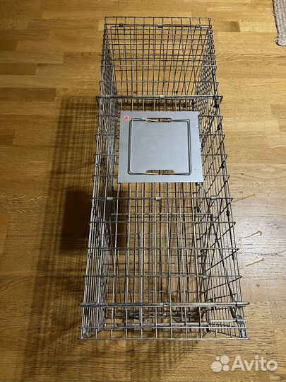 Клетка для гуманной ловли кошек