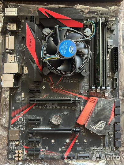 Asus strix B250H + celeron g3930 + озу 4g + кулер