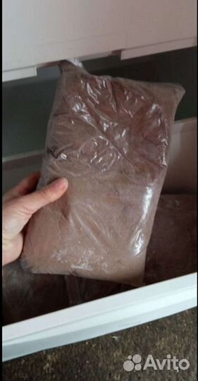 Яйца (циcты) apтемии из Крыма