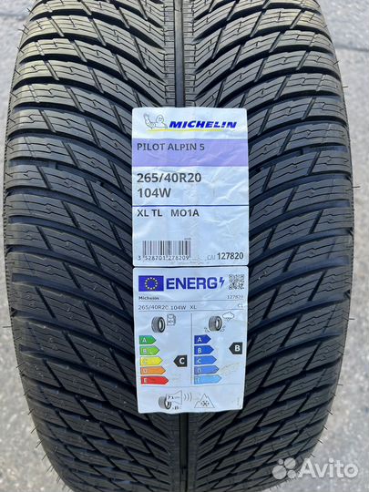 Michelin Pilot Alpin 5 265/40 R20 и 295/35 R20 105W