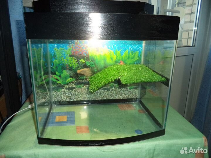 Большой выбор новых Аквариумов и Черепашников