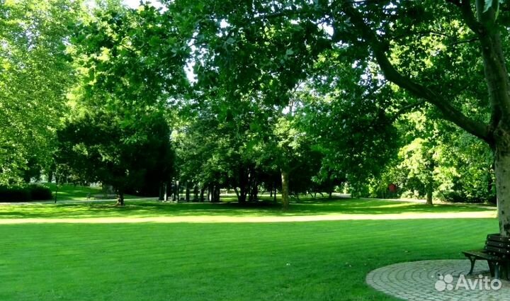 Посев газона под ключ