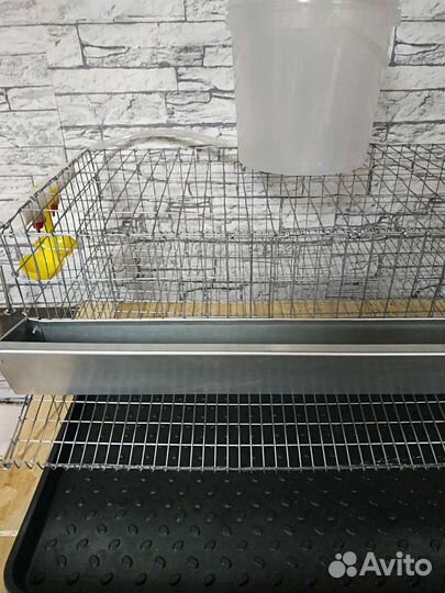 Клетка для перепелов