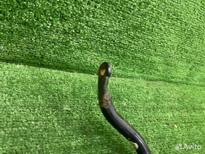 Стабилизатор поперечной устойчивости передний