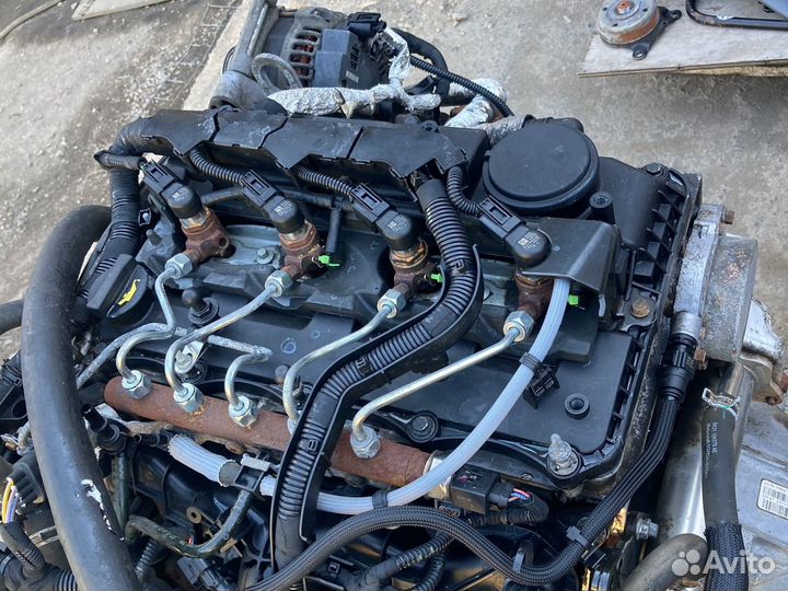 Двигатель 2.2 155 на Ford Transit