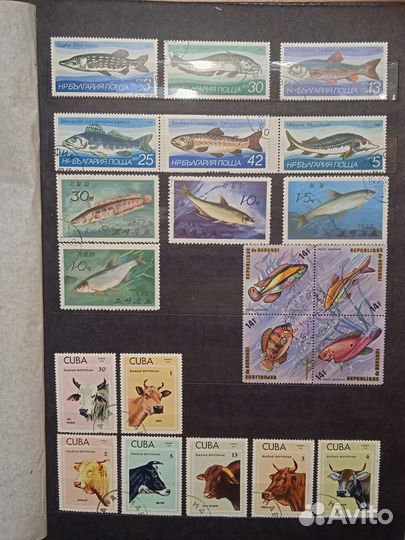 116 марок. Флора и фауна. На выбор или обмен