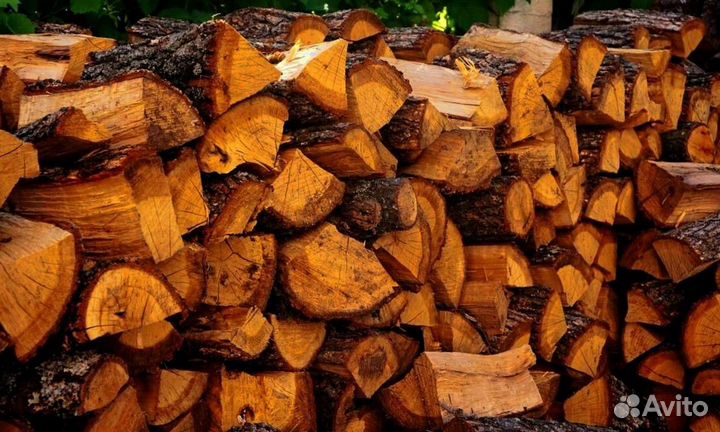 Дрова без жучков