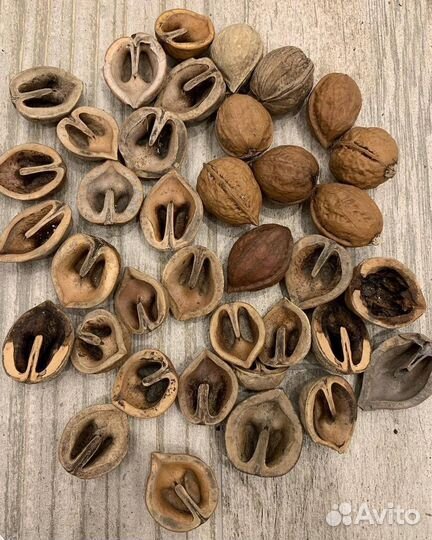 Маньчжурский орех